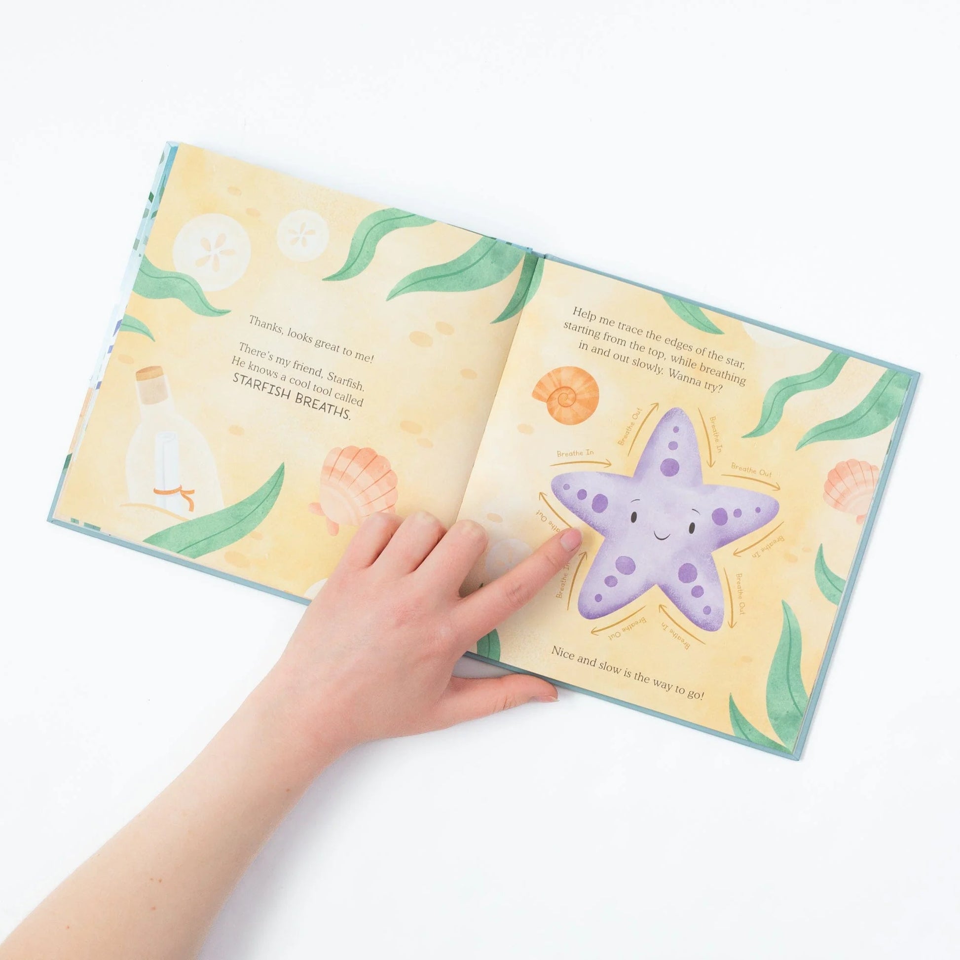 Flip Out Hammerhead: Emotional Regulation Set
