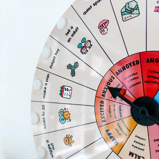 Children'S Emotions Wheel with Coping Choices for Boys and Girls, Classroom Teacher ELSA Feelings Resources, Emotional Regulation Tools
