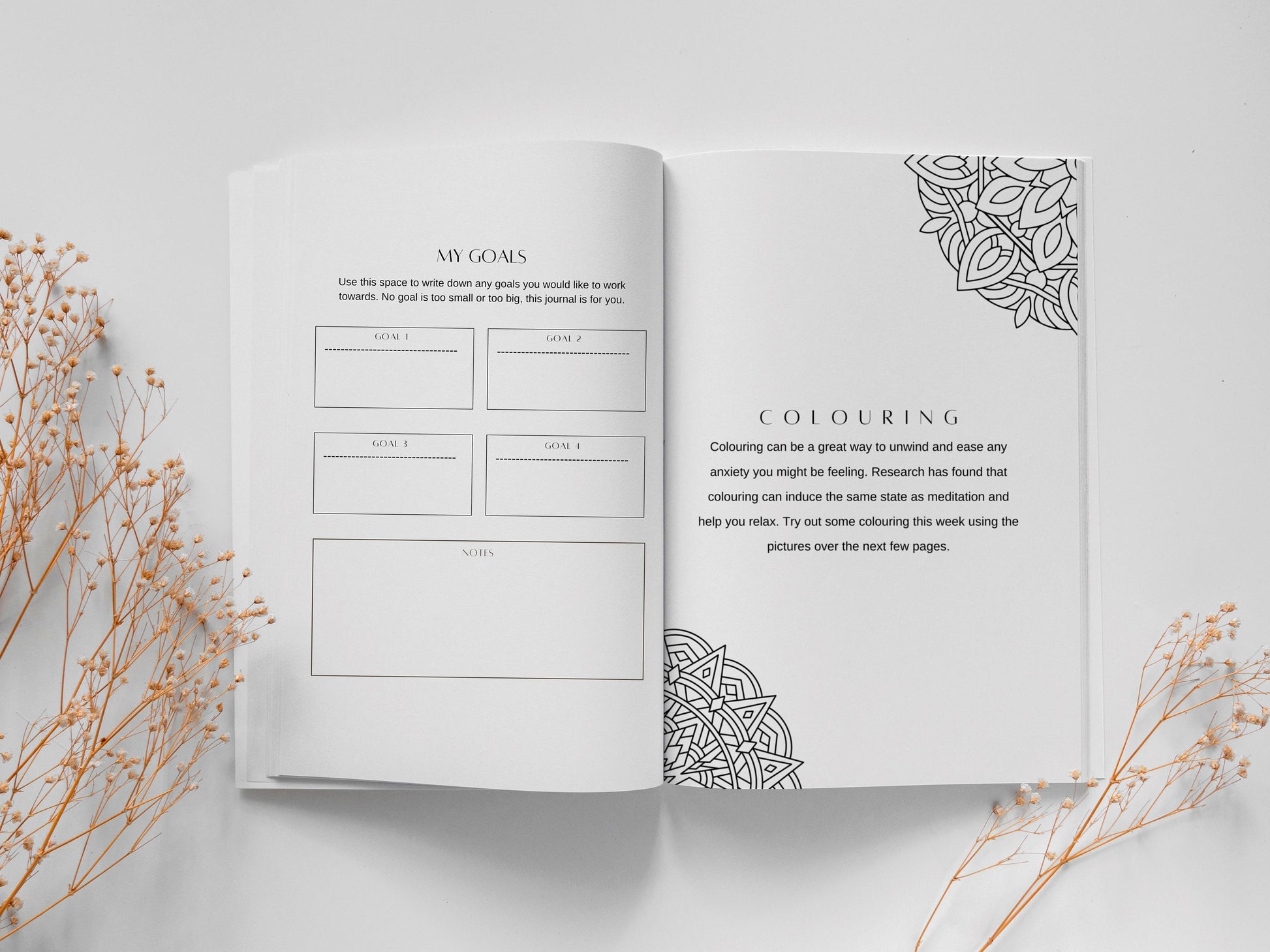 Wellbeing Journal for Mental Health: Guided Journal for Anxiety, Depression, Self-Love, Self-Care | Daily Mood Tracker & Guided Exercises